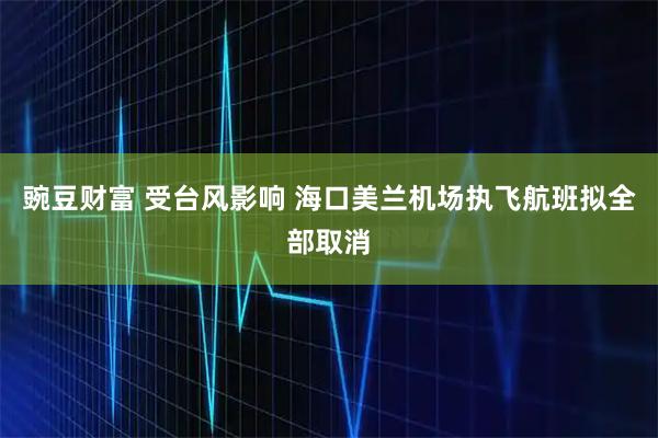 豌豆财富 受台风影响 海口美兰机场执飞航班拟全部取消