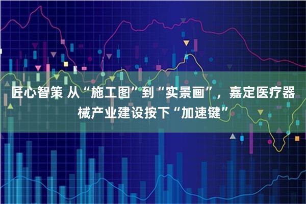 匠心智策 从“施工图”到“实景画”，嘉定医疗器械产业建设按下“加速键”