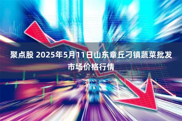 聚点股 2025年5月11日山东章丘刁镇蔬菜批发市场价格行情