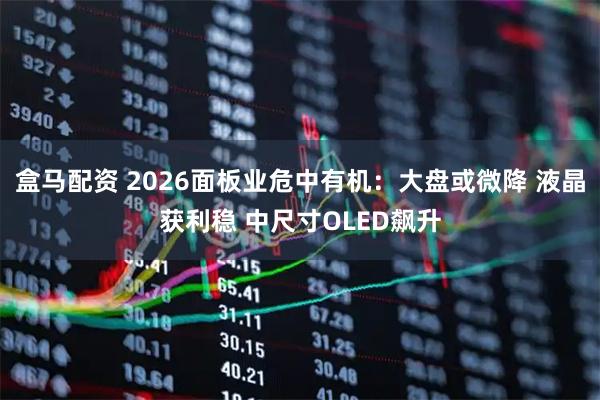 盒马配资 2026面板业危中有机:大盘或微降 液晶获利稳 中尺寸OLED飙升